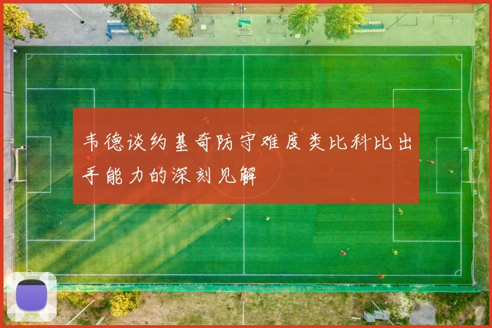 韦德谈约基奇防守难度类比科比出手能力的深刻见解